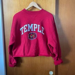 Oversized Cropped Temple Crew Neck 🦉